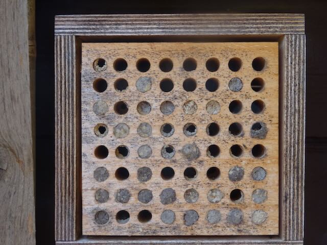 ガーデンハウス