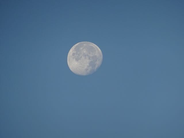 中秋の名月