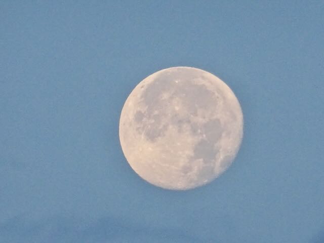一番おきな満月